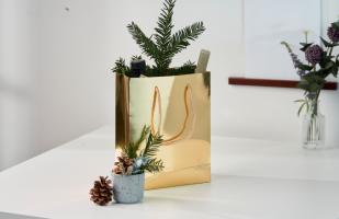 Empaques de regalo