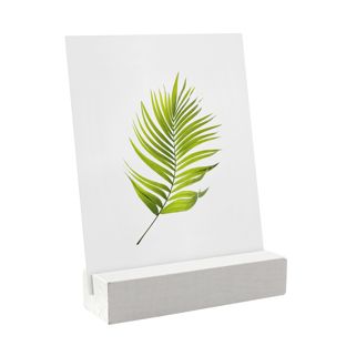 Portatarjetas de madera 100 mm | blanco  | ranura de inserción angular  | barnizado 