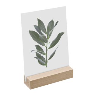 Portatarjetas de madera 100 mm | Haya  | ranura de inserción recta  | aceitado 