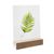 Portatarjetas de madera 100 mm | Haya  | ranura de inserción recta  | natural 