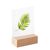 Portatarjetas de madera 60 mm | Haya  | ranura de inserción recta  | natural 