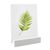 Portatarjetas de madera 100 mm | blanco  | ranura de inserción recta  | barnizado 