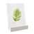 Portatarjetas de madera 100 mm | blanco  | ranura de inserción angular  | barnizado 