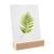 Portatarjetas de madera null | null | 100 mm | null