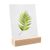 Portatarjetas de madera 100 mm | Haya  | ranura de inserción angular  | natural 