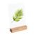 Portatarjetas de madera 100 mm | Roble  | ranura de inserción recta  | aceitado 