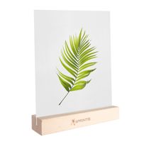 morepic-4