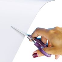 morepic-4